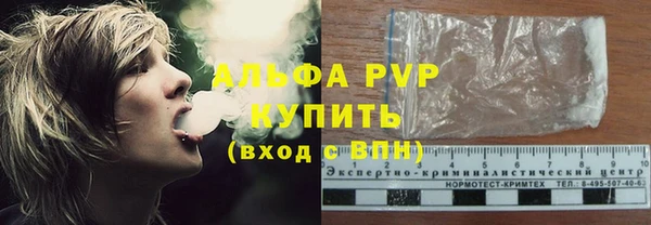 сатива Аркадак