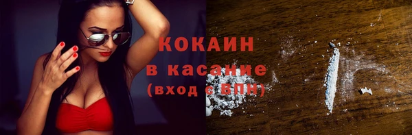 сатива Аркадак