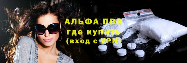 сатива Аркадак