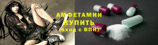 сатива Аркадак