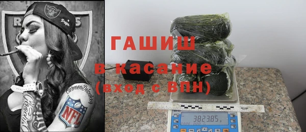 сатива Аркадак