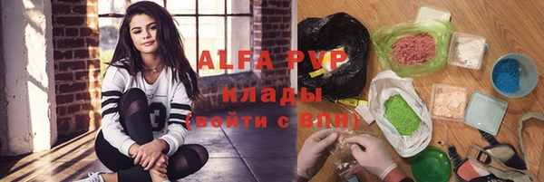 сатива Аркадак