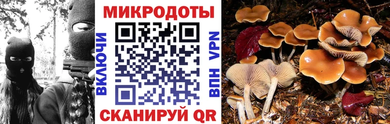 MEGA онион  Реж  Галлюциногенные грибы Cubensis 